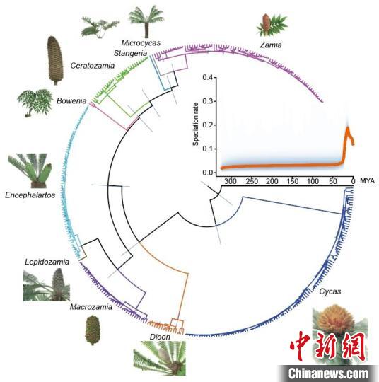 图片关键词